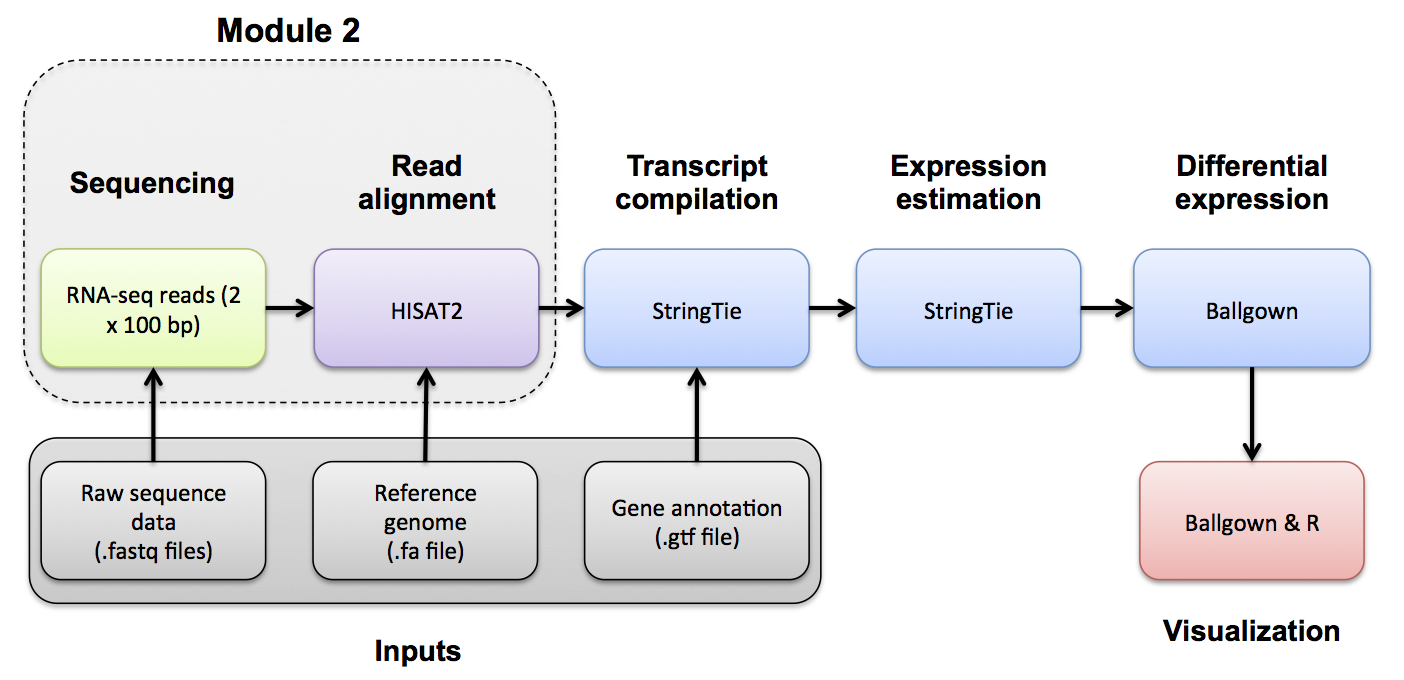 RNA-seq Flowchart - Module 3